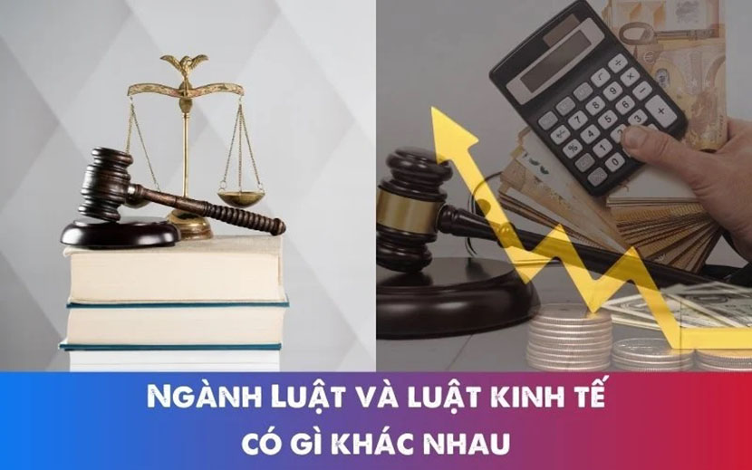 Ngành Luật và Luật Kinh tế có sự khác nhau về chương trình học